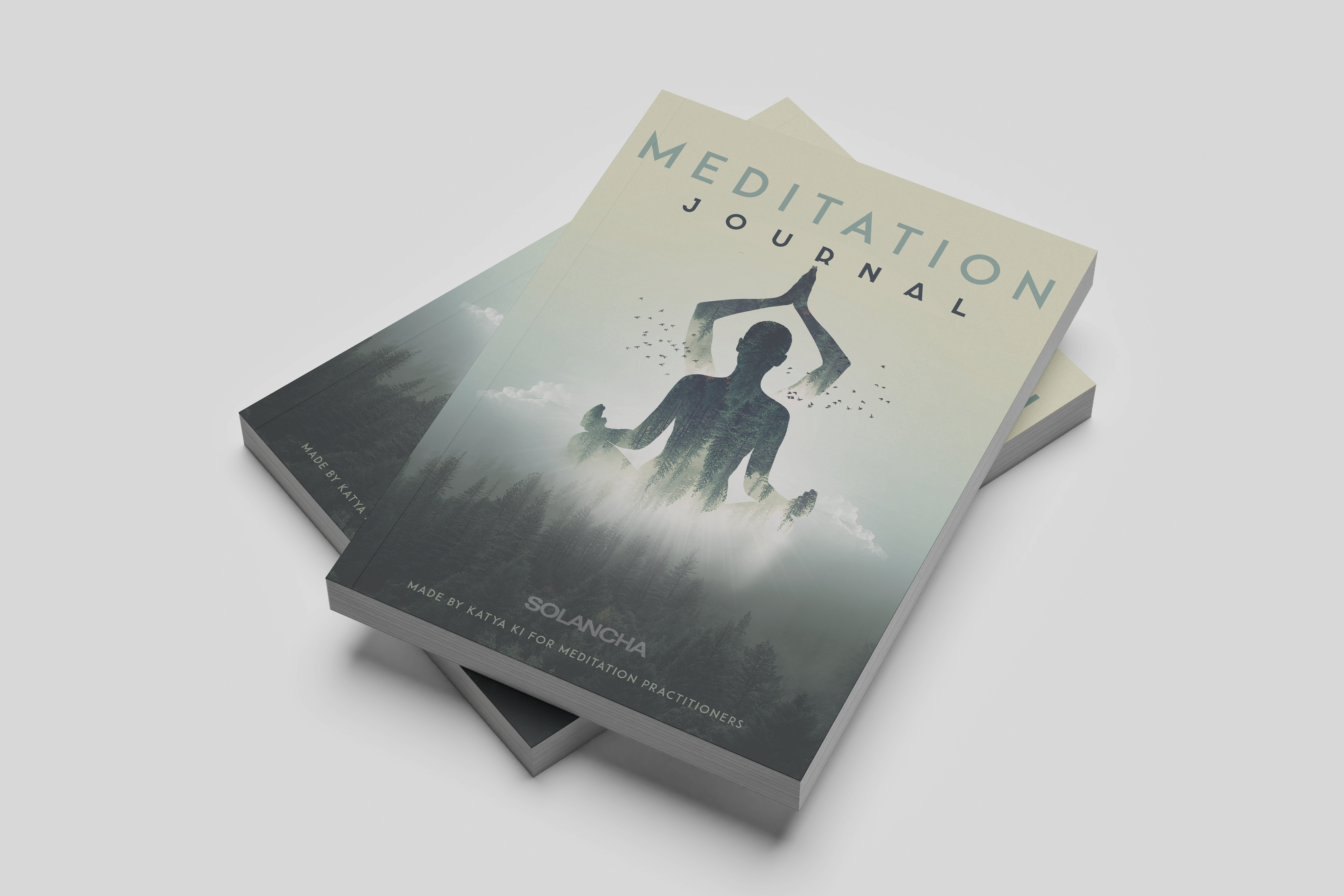 Meditation Journal