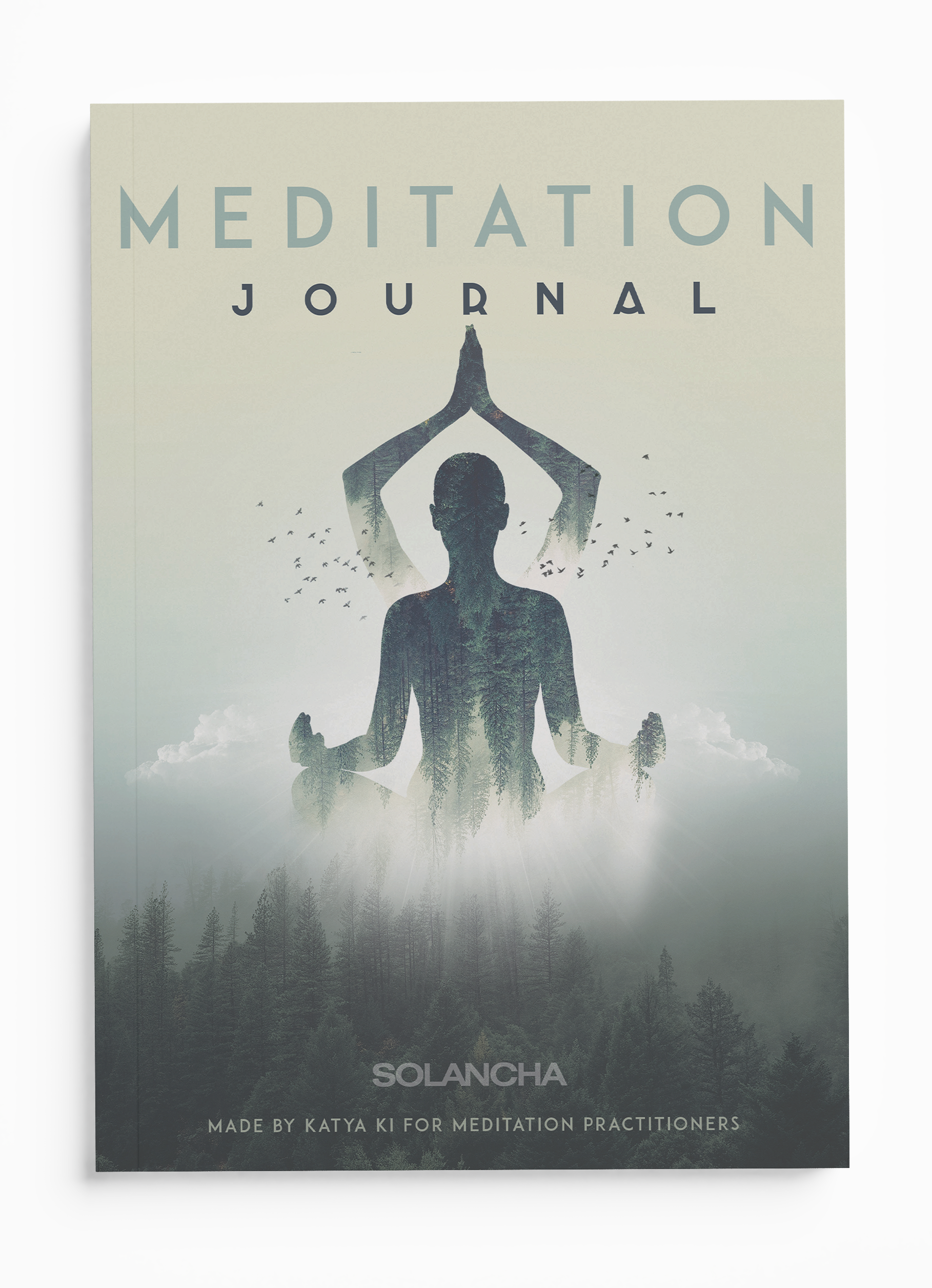 Meditation Journal